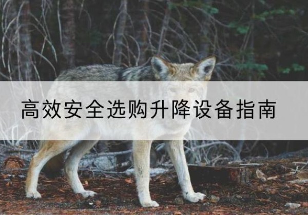 南岳升降货梯厂家推荐-*安全选购升降设备指南