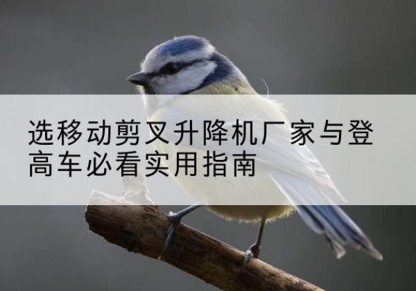 南岳电动升降机厂家-选移动剪叉升降机厂家与登高车必看实用指南