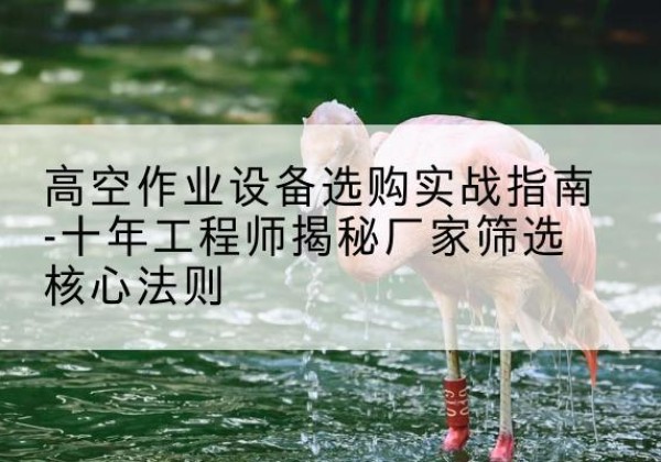 南岳剪叉式升降机厂家-高空作业设备选购实战指南-十年工程师揭秘厂家筛选核心法则